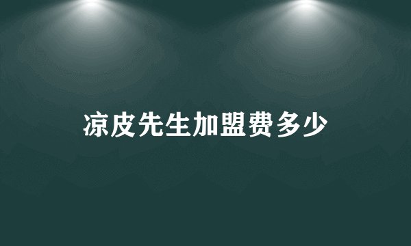 凉皮先生加盟费多少