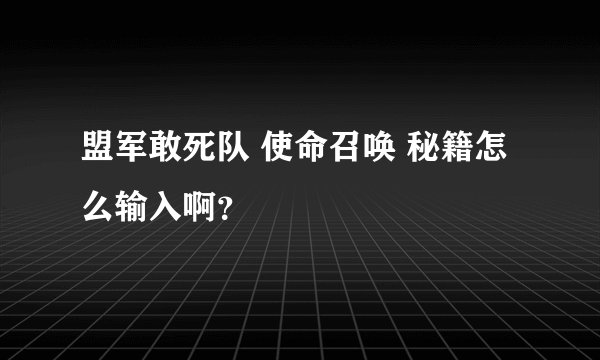 盟军敢死队 使命召唤 秘籍怎么输入啊？