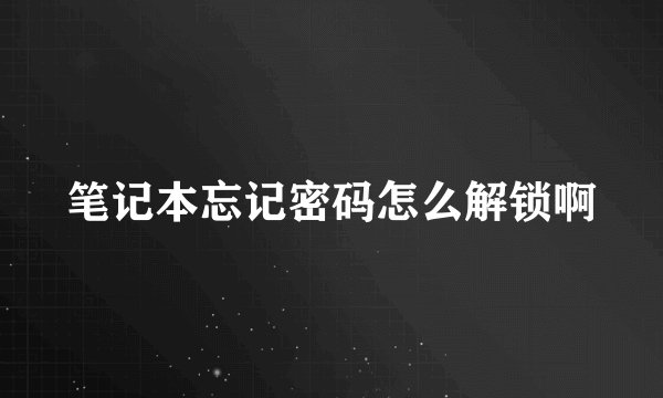 笔记本忘记密码怎么解锁啊