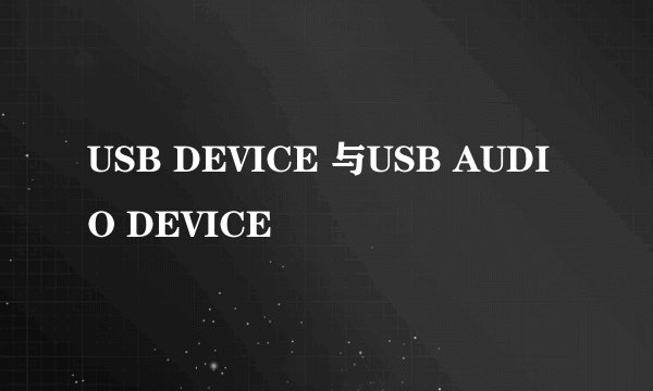USB DEVICE 与USB AUDIO DEVICE