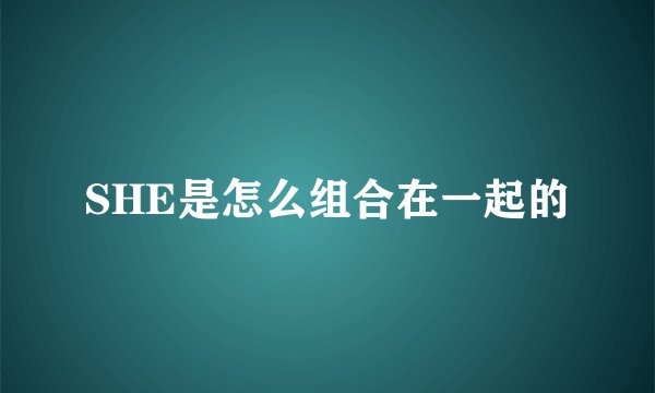 SHE是怎么组合在一起的