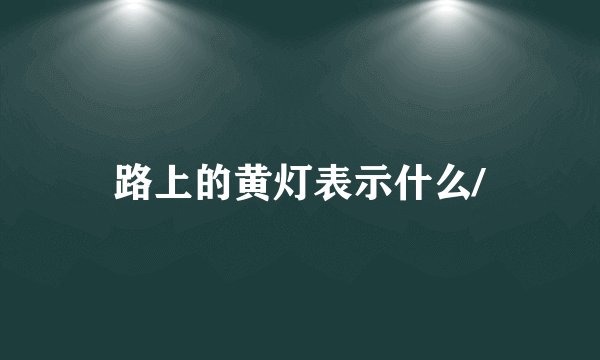 路上的黄灯表示什么/