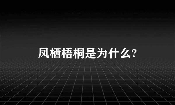 凤栖梧桐是为什么?