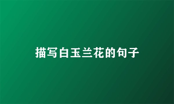 描写白玉兰花的句子