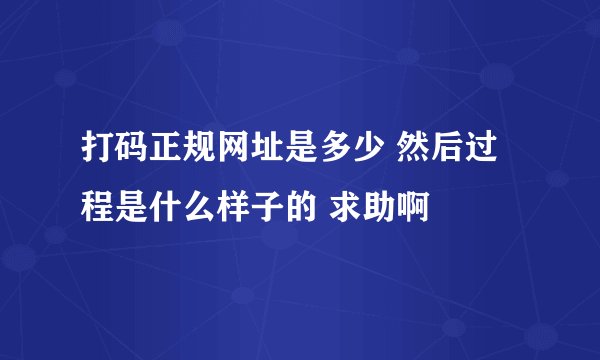 打码正规网址是多少 然后过程是什么样子的 求助啊