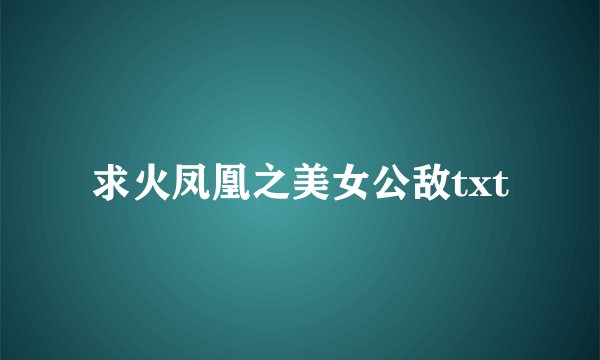 求火凤凰之美女公敌txt