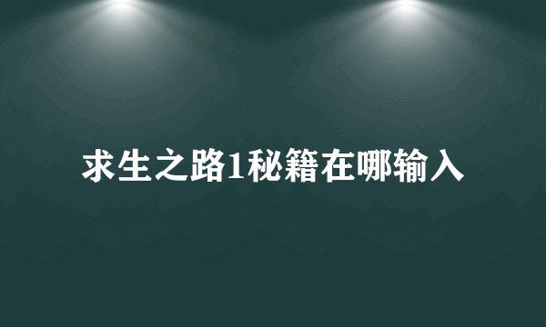 求生之路1秘籍在哪输入