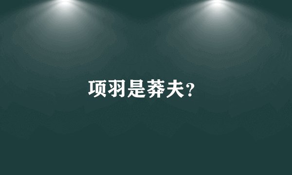 项羽是莽夫？