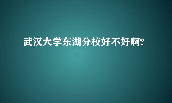 武汉大学东湖分校好不好啊?
