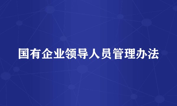 国有企业领导人员管理办法
