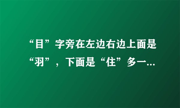 “目”字旁在左边右边上面是“羽”，下面是“住”多一横。是什么字啊？怎么读啊