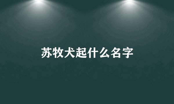 苏牧犬起什么名字