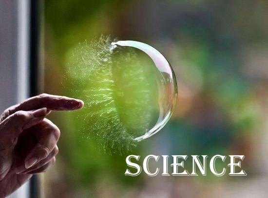 science怎么读？