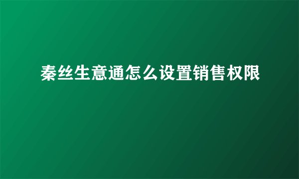 秦丝生意通怎么设置销售权限