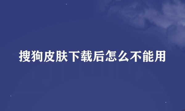 搜狗皮肤下载后怎么不能用