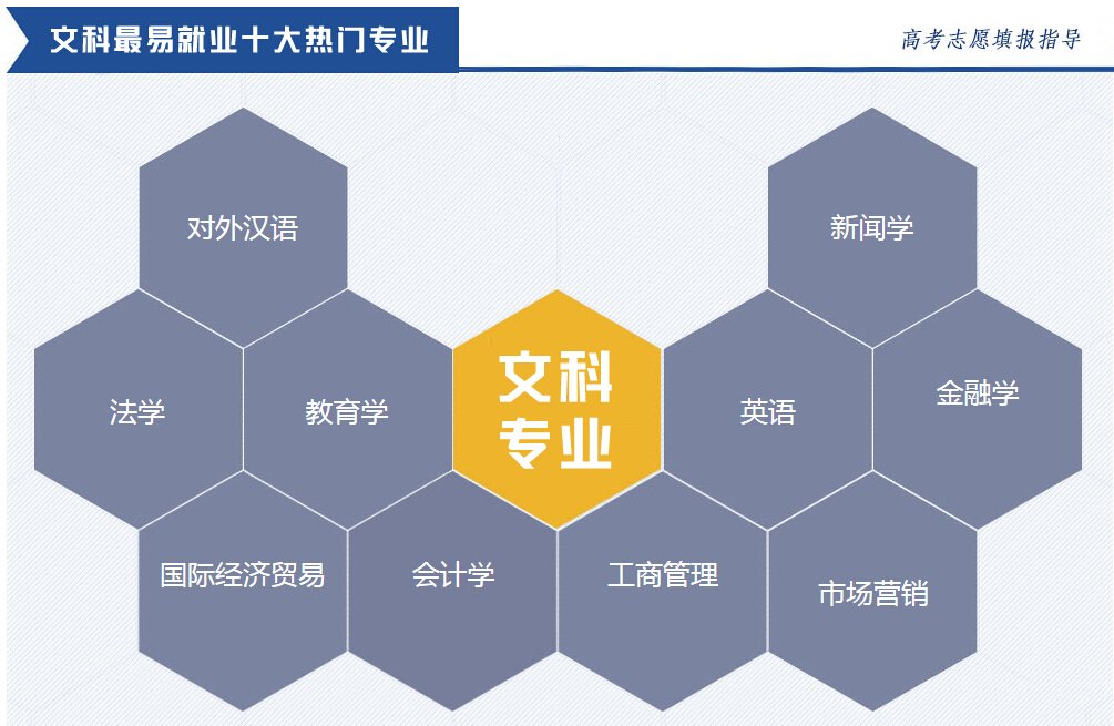 学文科有哪些专业可选？