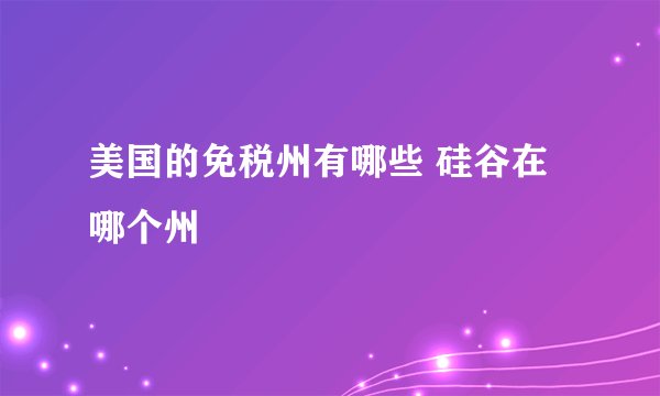 美国的免税州有哪些 硅谷在哪个州