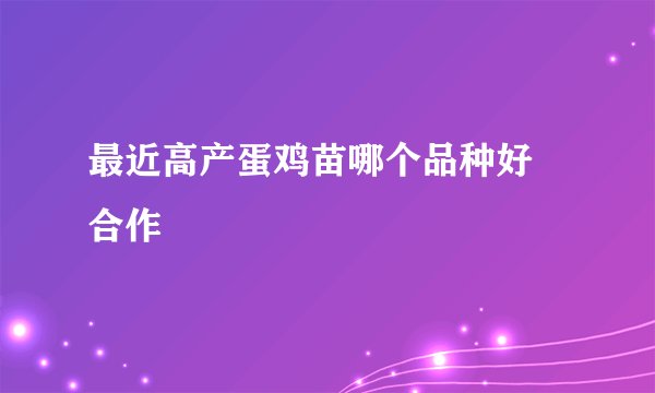 最近高产蛋鸡苗哪个品种好 合作