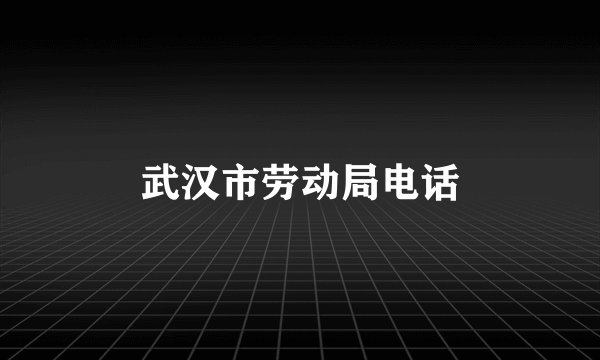 武汉市劳动局电话