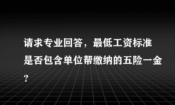 请求专业回答，最低工资标准是否包含单位帮缴纳的五险一金？
