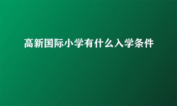 高新国际小学有什么入学条件