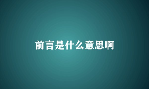 前言是什么意思啊