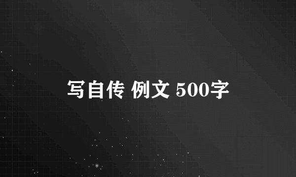 写自传 例文 500字