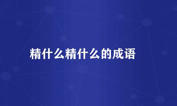 精什么精什么的成语
