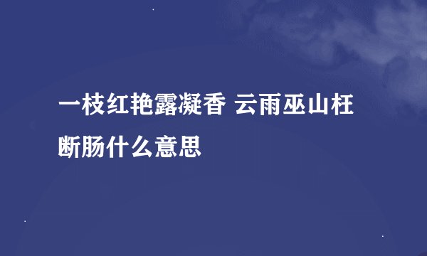 一枝红艳露凝香 云雨巫山枉断肠什么意思
