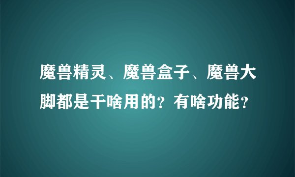 魔兽精灵、魔兽盒子、魔兽大脚都是干啥用的？有啥功能？