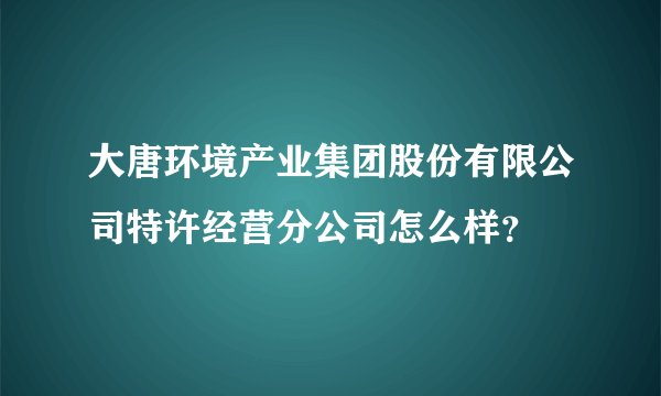 大唐环境产业集团股份有限公司特许经营分公司怎么样？