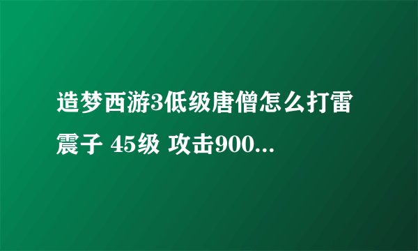 造梦西游3低级唐僧怎么打雷震子 45级 攻击900 写3600 魔4800 磨抗11 暴击6